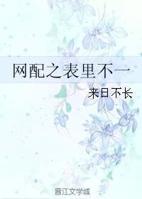 网配之表裏不一封面