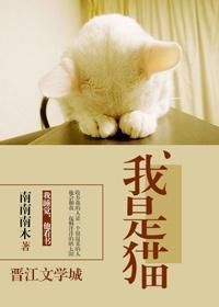 我是猫封面
