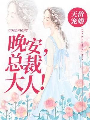 天价宠婚：晚安，总裁大人！封面