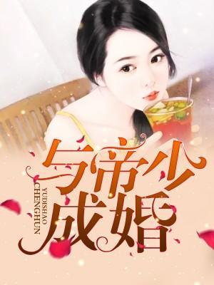 与帝少成婚封面