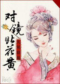 对镜贴花黄封面