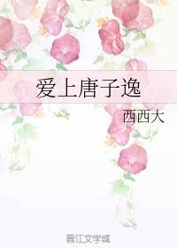 爱上唐子逸封面