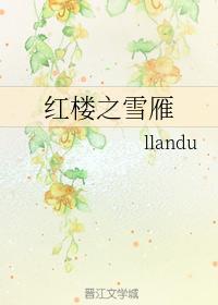 红楼之雪雁封面