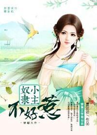 奴隶小主不好惹封面