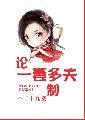 论一妻多夫制封面