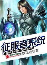 征服者系统封面