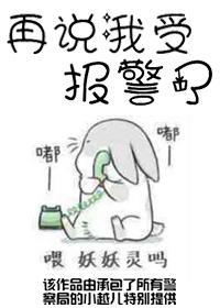 再说我受报警了封面