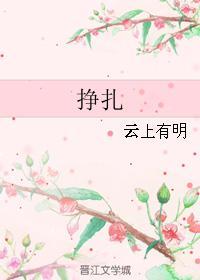 挣扎封面