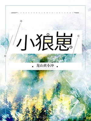 小狼崽封面