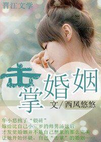 击掌婚姻封面