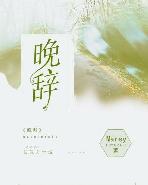 晚辞封面