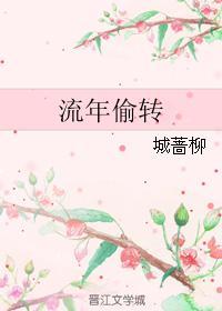 流年偷转封面