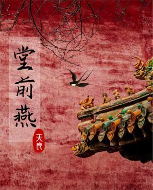 堂前燕封面