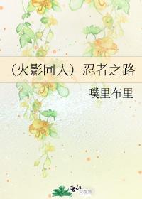 忍者之路封面