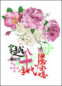 穿越八十年代农家媳封面