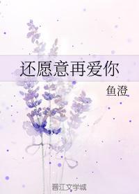 还愿意再爱你封面
