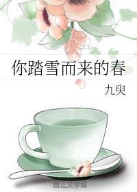 你踏雪而来的春封面