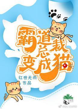 霸道总裁变成猫封面