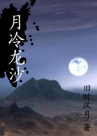 月冷龙沙封面