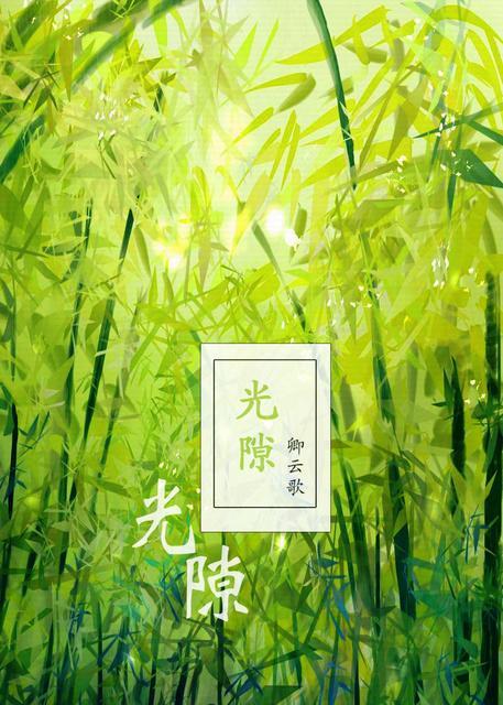 [猎人]光隙封面