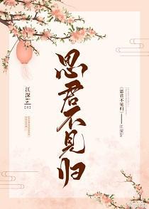 思君不见归封面