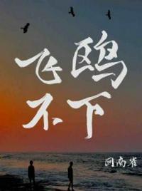 飞鸥不下封面