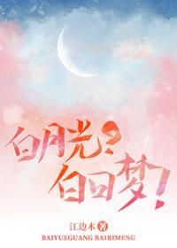 白月光？白日梦！封面