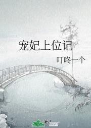 宠妃上位记封面