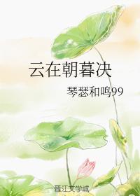 云在朝暮决封面