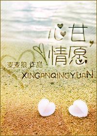 心甘，情愿封面