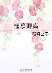 槿慕卿离封面