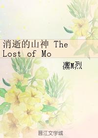 消逝的山神 The Lost of Mountain Deity封面