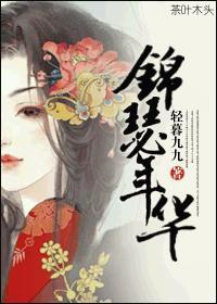锦瑟年华封面