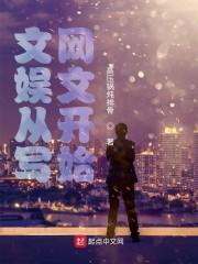文娱从写网文开始封面
