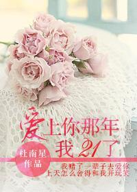 爱上你那年我21了封面