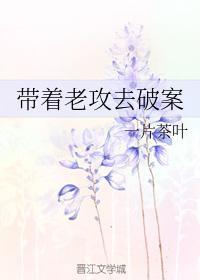 带着老攻去破案封面