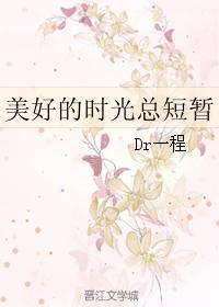美好的时光总短暂封面