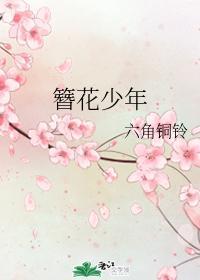 簪花少年封面