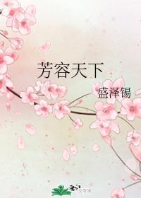 芳容天下封面