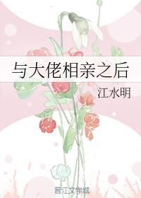 与大佬相亲之后封面