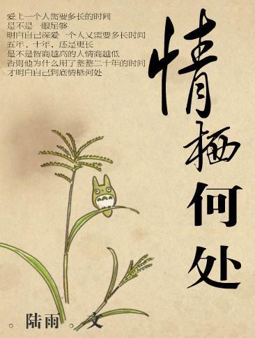 情栖何处封面