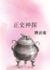 正史神探封面