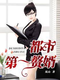 都市第一赘婿封面