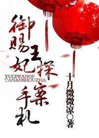 御赐王妃探案手札封面
