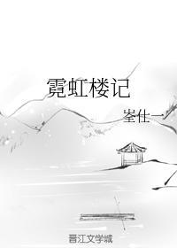 霓虹楼记封面