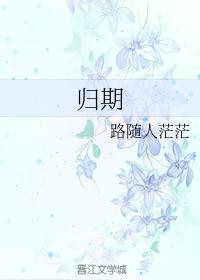 归期封面