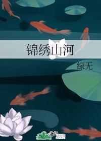 锦绣山河封面