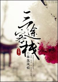 郁金香封面