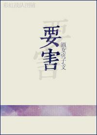 要害封面