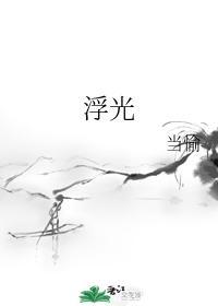 浮光封面